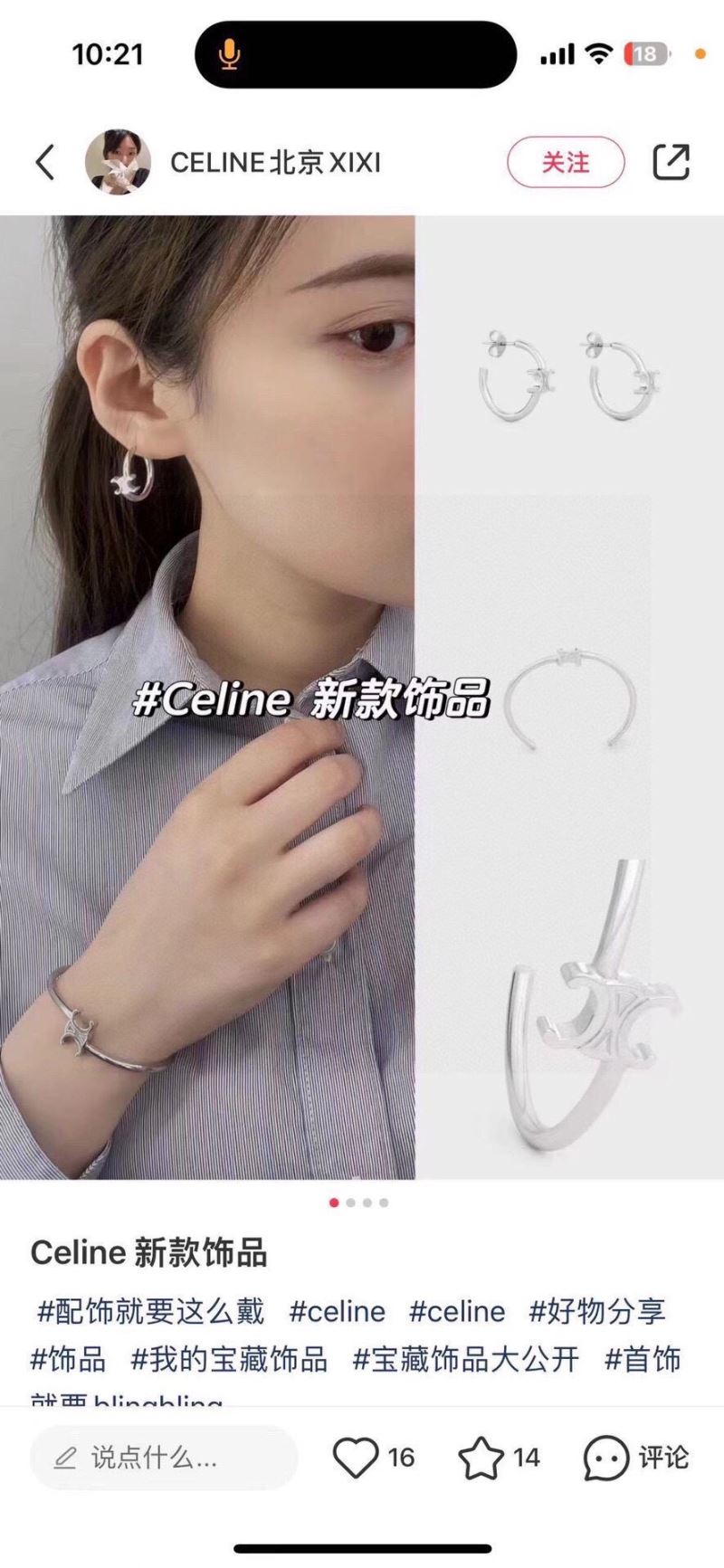 Celine Earrings